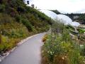 gal/holiday/Cornwall 2008 - Eden Project/_thb_IMG_2325.jpg